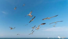 成长-在线观看,在线观看，见证蜕变瞬间